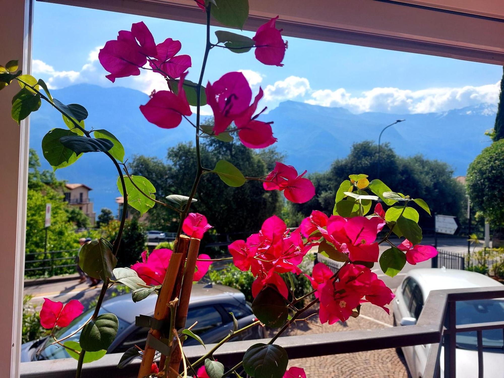 Hotel Villa Grazia Limone sul Garda Exterior foto